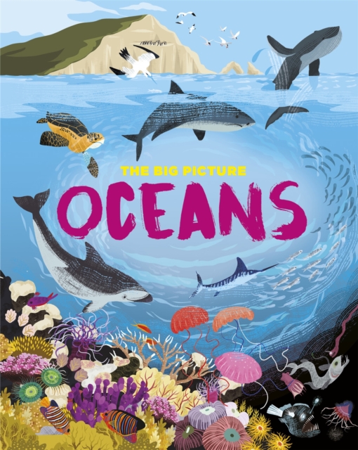 The Big Picture: Oceans, Hardback Book