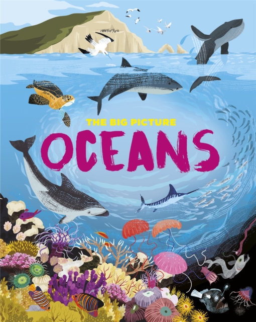 The Big Picture: Oceans, Paperback / softback Book