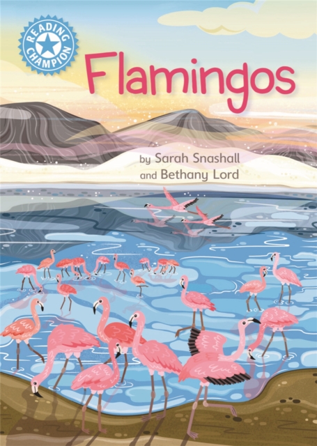 Reading Champion: Flamingos : Independent Reading non-fiction Blue 4, Hardback Book