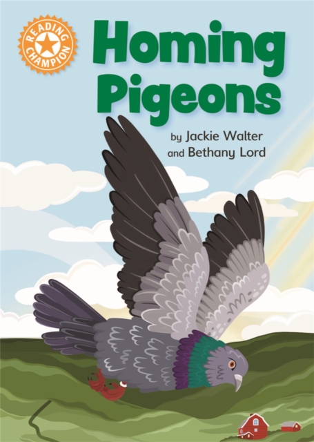 Reading Champion: Homing Pigeons : Independent Reading Orange 6 Non-fiction, Hardback Book