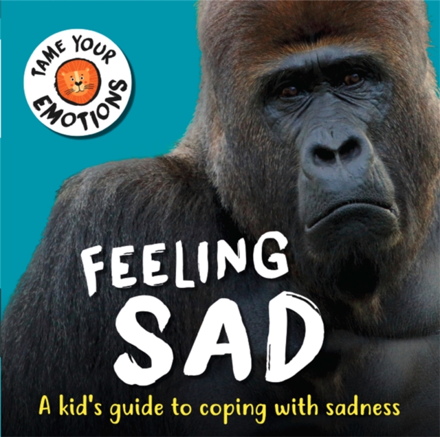 Tame Your Emotions: Feeling Sad, Hardback Book