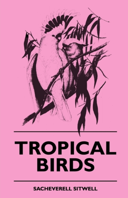 Tropical Birds, Paperback / softback Book