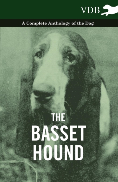 The Basset Hound - A Complete Anthology of the Dog -, Paperback / softback Book