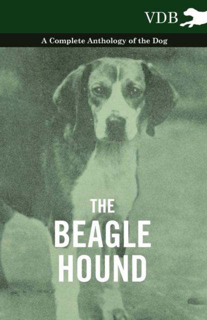 The Beagle Hound - A Complete Anthology of the Dog -, Paperback / softback Book