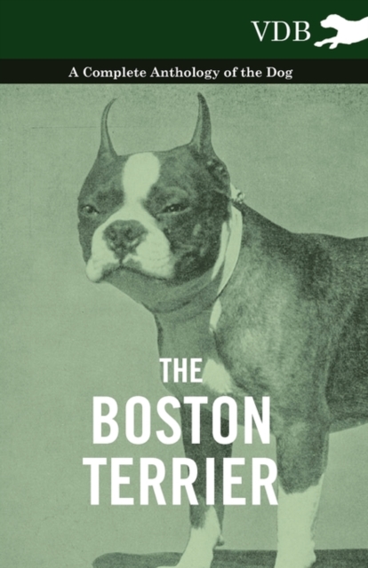 The Boston Terrier - A Complete Anthology of the Dog -, Paperback / softback Book