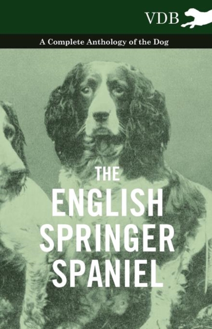 The English Springer Spaniel - A Complete Anthology of the Dog, Paperback / softback Book