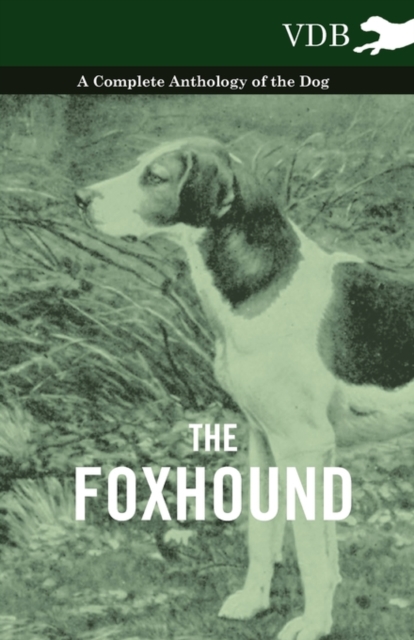 The Foxhound - A Complete Anthology of the Dog, Paperback / softback Book