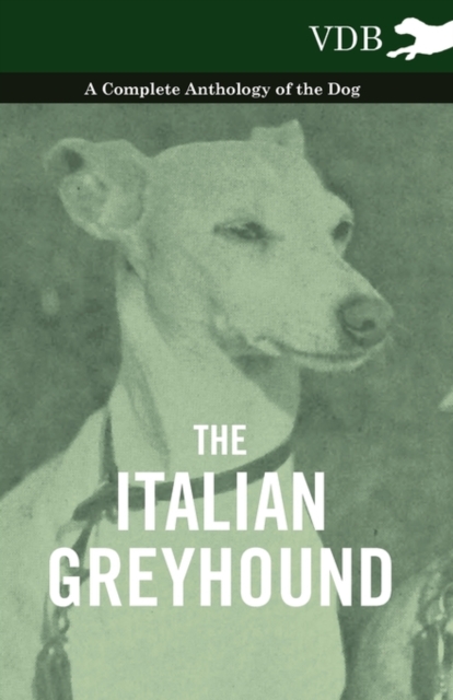 The Italian Greyhound - A Complete Anthology of the Dog, Paperback / softback Book
