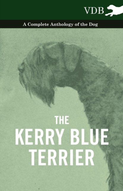 The Kerry Blue Terrier - A Complete Anthology of the Dog, Paperback / softback Book