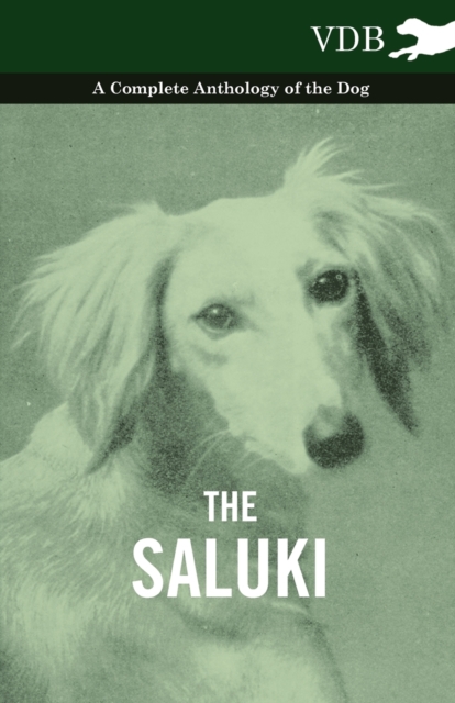 The Saluki - A Complete Anthology of the Dog, Paperback / softback Book