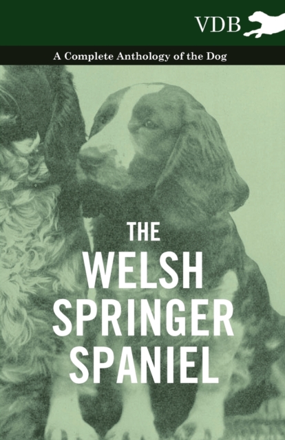 The Welsh Springer Spaniel - A Complete Anthology of the Dog, Paperback / softback Book