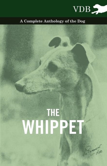 The Whippet - A Complete Anthology of the Dog, Paperback / softback Book