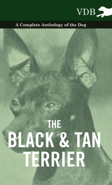 The Black And Tan Terrier - A Complete Anthology of the Dog -, Hardback Book