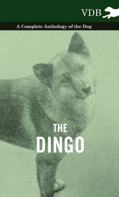 The Dingo - A Complete Anthology of the Dog -, Hardback Book