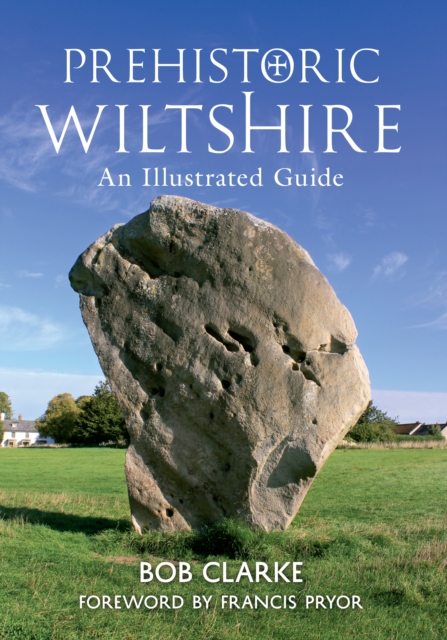 Prehistoric Wiltshire : An Illustrated Guide, EPUB eBook