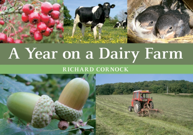 A Year on a Dairy Farm, EPUB eBook