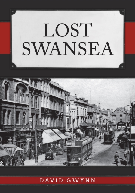 Lost Swansea, EPUB eBook