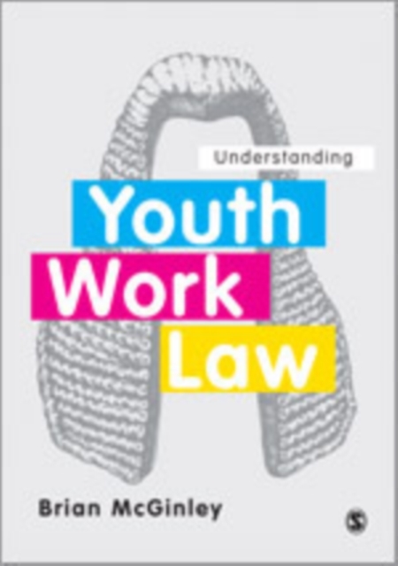 Understanding Youth Work Law, Hardback Book