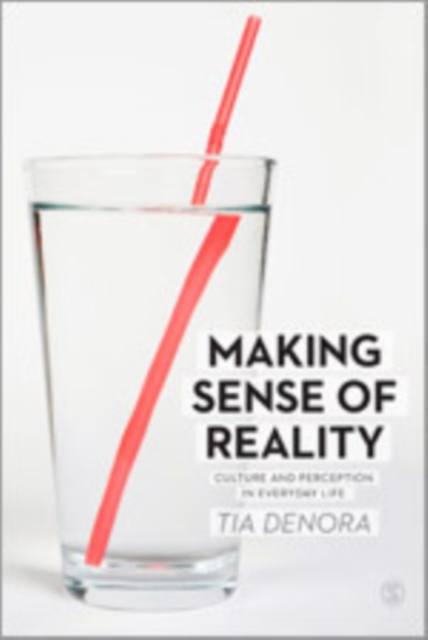 Making Sense of Reality : Culture and Perception in Everyday Life, Hardback Book