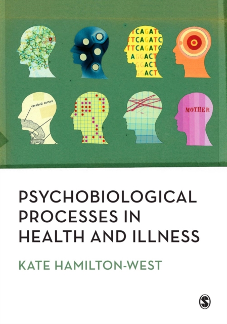 Psychobiological Processes in Health and Illness, PDF eBook