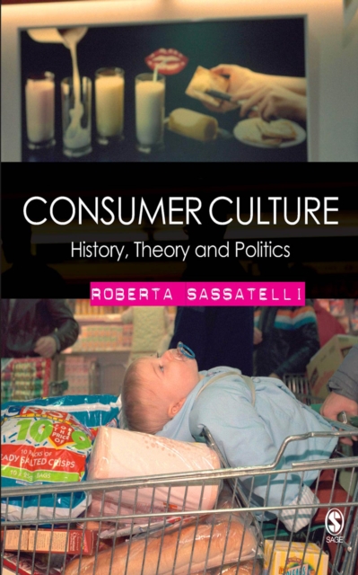 Consumer Culture : History, Theory and Politics, EPUB eBook
