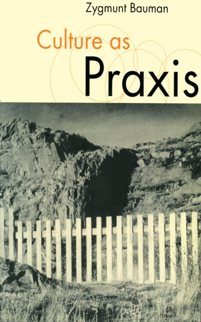 Culture as Praxis, EPUB eBook