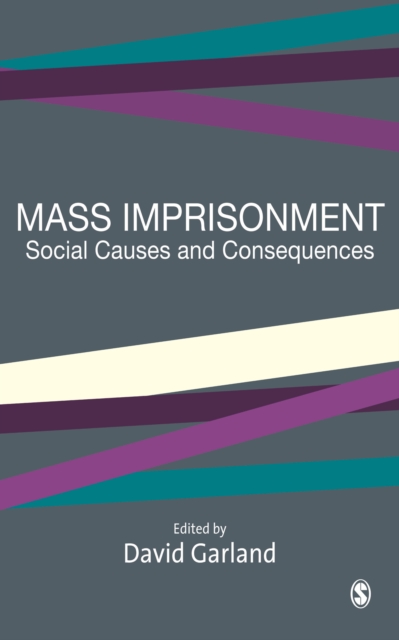 Mass Imprisonment : Social Causes and Consequences, EPUB eBook