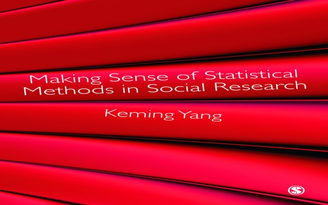 Making Sense of Statistical Methods in Social Research, EPUB eBook