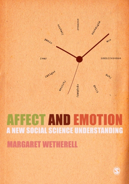 Affect and Emotion : A New Social Science Understanding, PDF eBook