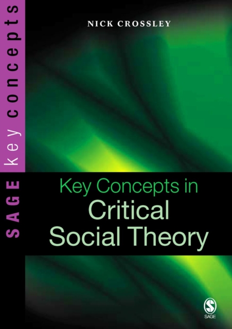 Key Concepts in Critical Social Theory, PDF eBook