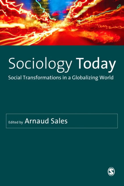 Sociology Today : Social Transformations in a Globalizing World, PDF eBook