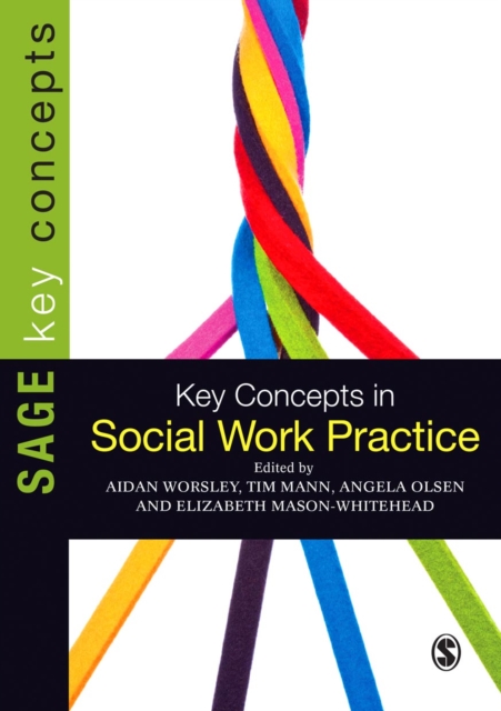 Key Concepts in Social Work Practice, PDF eBook