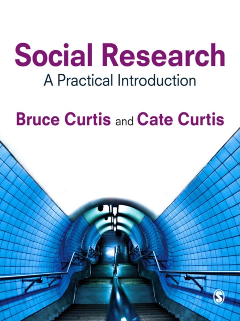 Social Research : A Practical Introduction, EPUB eBook