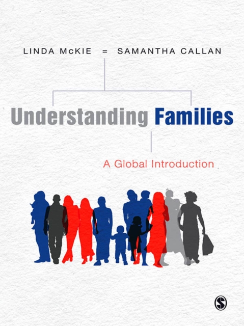 Understanding Families : A Global Introduction, EPUB eBook