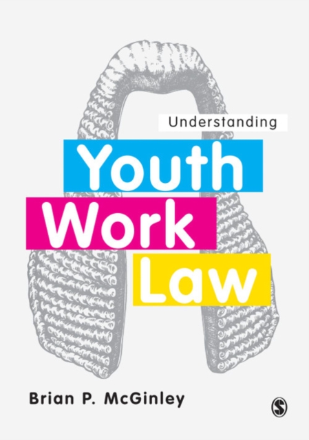 Understanding Youth Work Law, PDF eBook