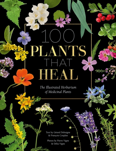 100 Plants That Heal : The Illustrated Herbarium of Medicinal Plants, Hardback Book