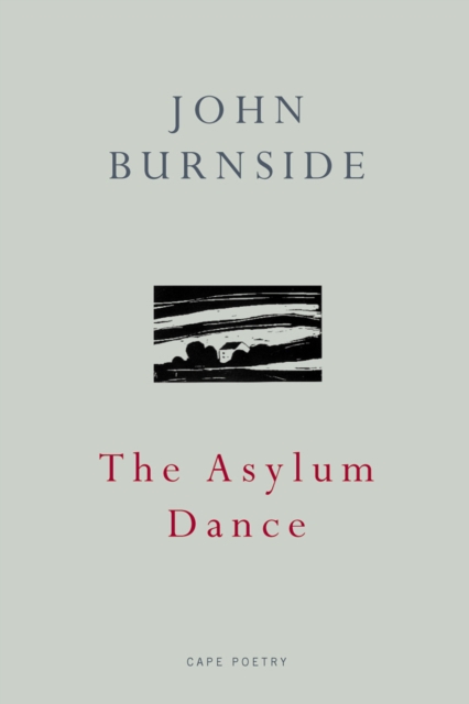 The Asylum Dance, EPUB eBook