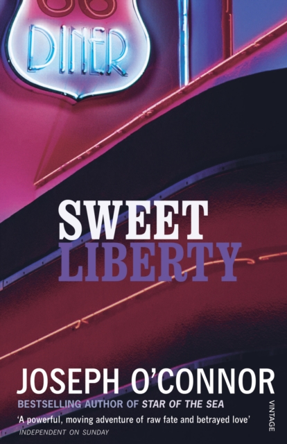 Sweet Liberty : Travels in Irish America, EPUB eBook