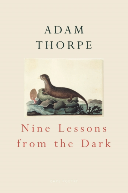 Nine Lessons From The Dark, EPUB eBook