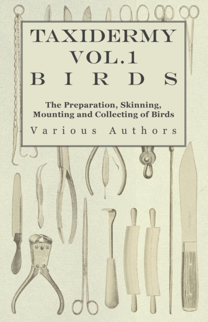 Taxidermy Vol.1 Birds - The Preparation, Skinning, Mounting and Collecting of Birds, Paperback / softback Book