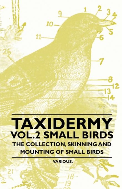 Taxidermy Vol.2 Small Birds - The Collection, Skinning and Mounting of Small Birds, Paperback / softback Book