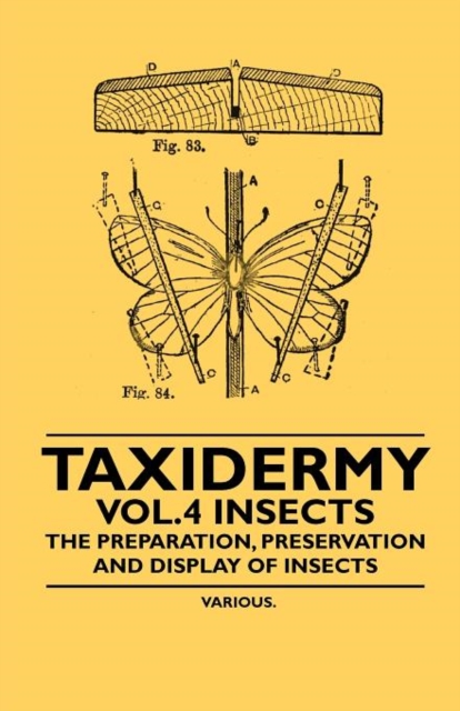 Taxidermy Vol.4 Insects - The Preparation, Preservation and Display of Insects, Paperback / softback Book