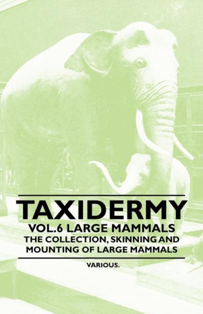 Taxidermy Vol.6 Large Mammals - The Collection, Skinning and Mounting of Large Mammals, Paperback / softback Book