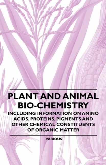 Plant and Animal Bio-Chemistry - Including Information on Amino Acids, Proteins, Pigments and Other Chemical Constituents of Organic Matter, Paperback / softback Book