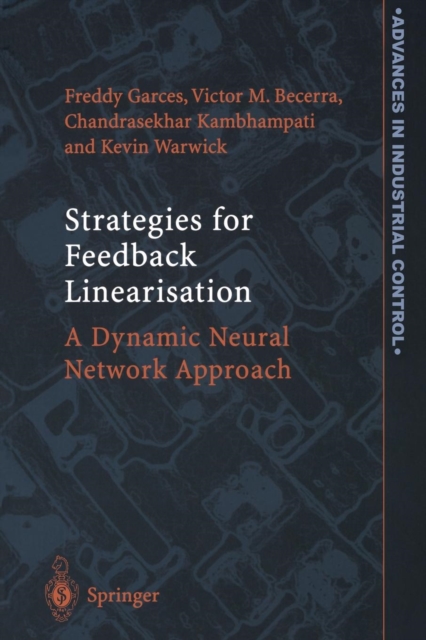 Strategies for Feedback Linearisation : A Dynamic Neural Network Approach, Paperback / softback Book