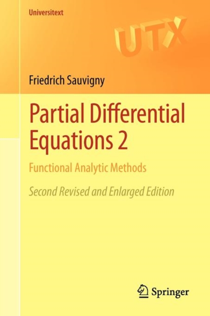 Partial Differential Equations 2 : Functional Analytic Methods, Paperback / softback Book