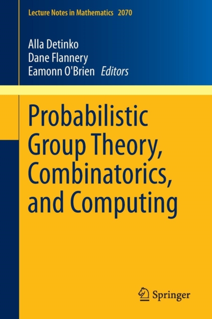 Probabilistic Group Theory, Combinatorics, and Computing : Lectures from the Fifth de Brun Workshop, Paperback / softback Book