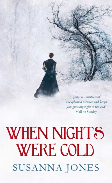 When Nights Were Cold : A literary mystery, EPUB eBook