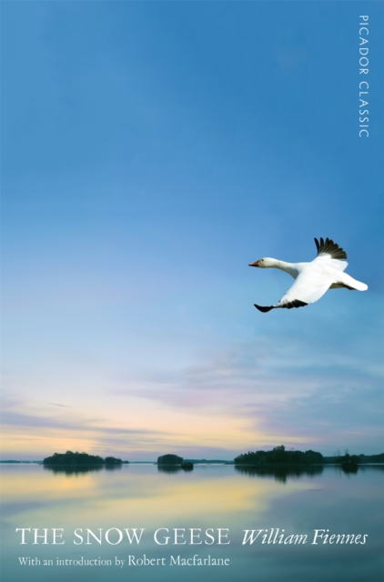 The Snow Geese, Paperback / softback Book
