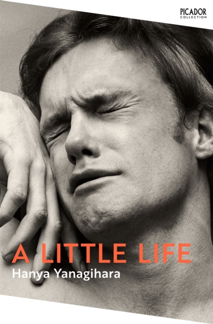 A Little Life : The Million-Copy Bestseller, EPUB eBook